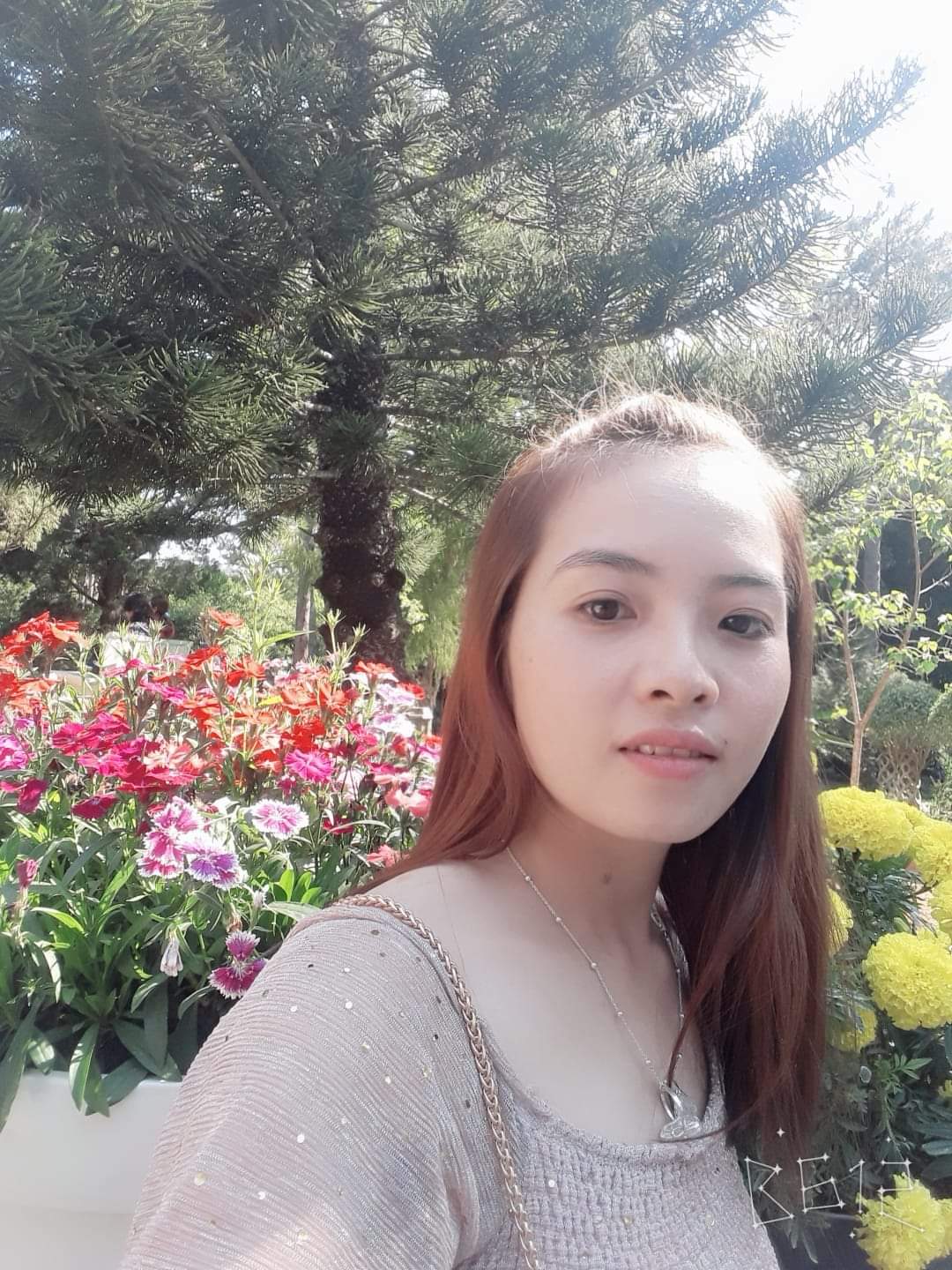 trần thị trường vi