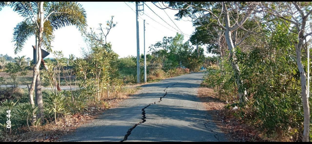 ►  CHÍNH CHỦ CẦN BÁN LÔ ĐẤT 1.000M² MẶT TIỀN ĐƯỜNG NHỰA – XÃ HƯNG LONG, BÌNH CHÁNH