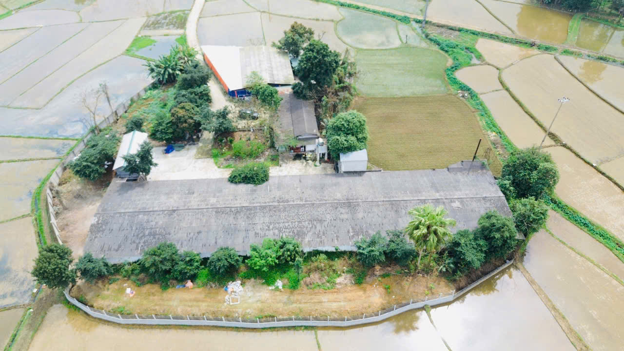 BÁN TRANG TRẠI CHĂN NUÔI QUY MÔ LỚN – PHÚ LƯƠNG, THÁI NGUYÊN