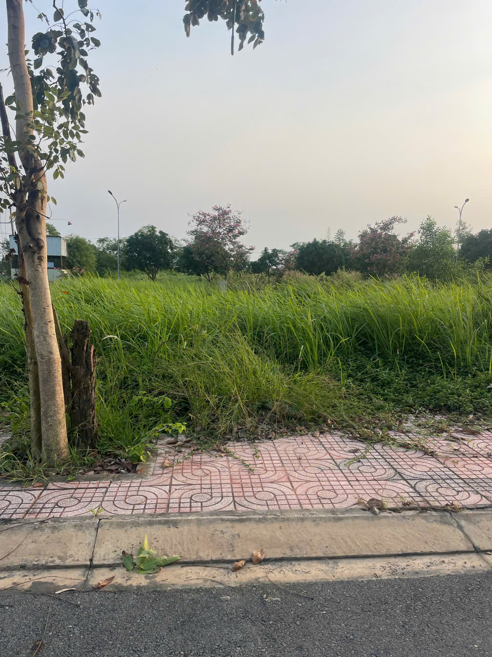 CẦN BÁN GẤP LÔ ĐẤT 78M2 KĐT LÀNG SEN VIỆT NAM – MẶT TIỀN TỈNH LỘ 10 – SỔ HỒNG RIÊNG – GIÁ CHỈ 1,7 TỶ