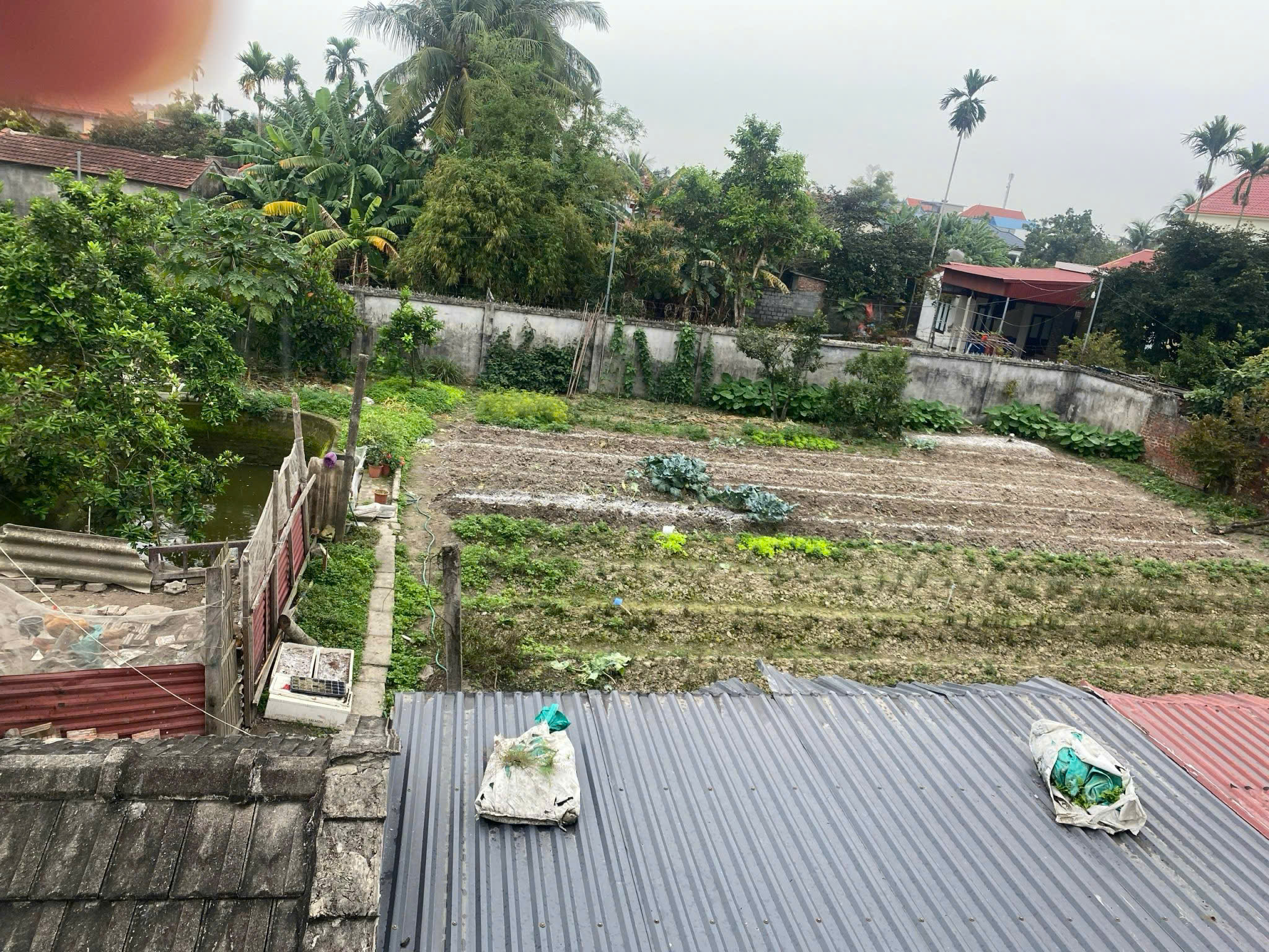 BÁN ĐẤT ĐỨC PHONG – KIẾN MINH – HẢI PHÒNG Vị trí đẹp – Gần chợ – Tiềm năng đầu tư cao