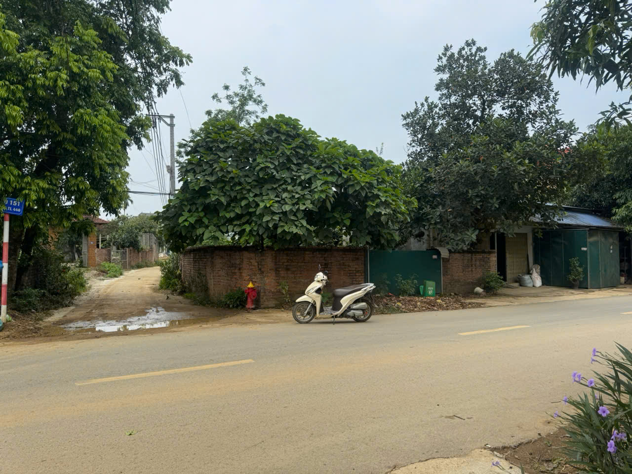 BÁN LÔ GÓC 2 MẶT TIỀN ĐƯỜNG 446 – VỊ TRÍ ĐẸP, GIÁ TỐT