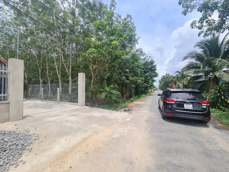 CHÍNH CHỦ BÁN ĐẤT XÃ CẨM GIANG – HUYỆN GÒ DẦU, TỈNH TÂY NINH