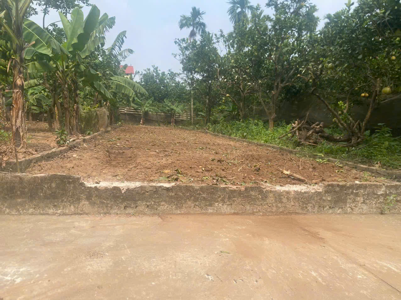 CHÍNH CHỦ CẦN BÁN 2 LÔ ĐẤT ĐẸP TẠI THÔN ĐÔNG CAO – XÃ TRÁNG VIỆT – HUYỆN MÊ LINH – HÀ NỘI