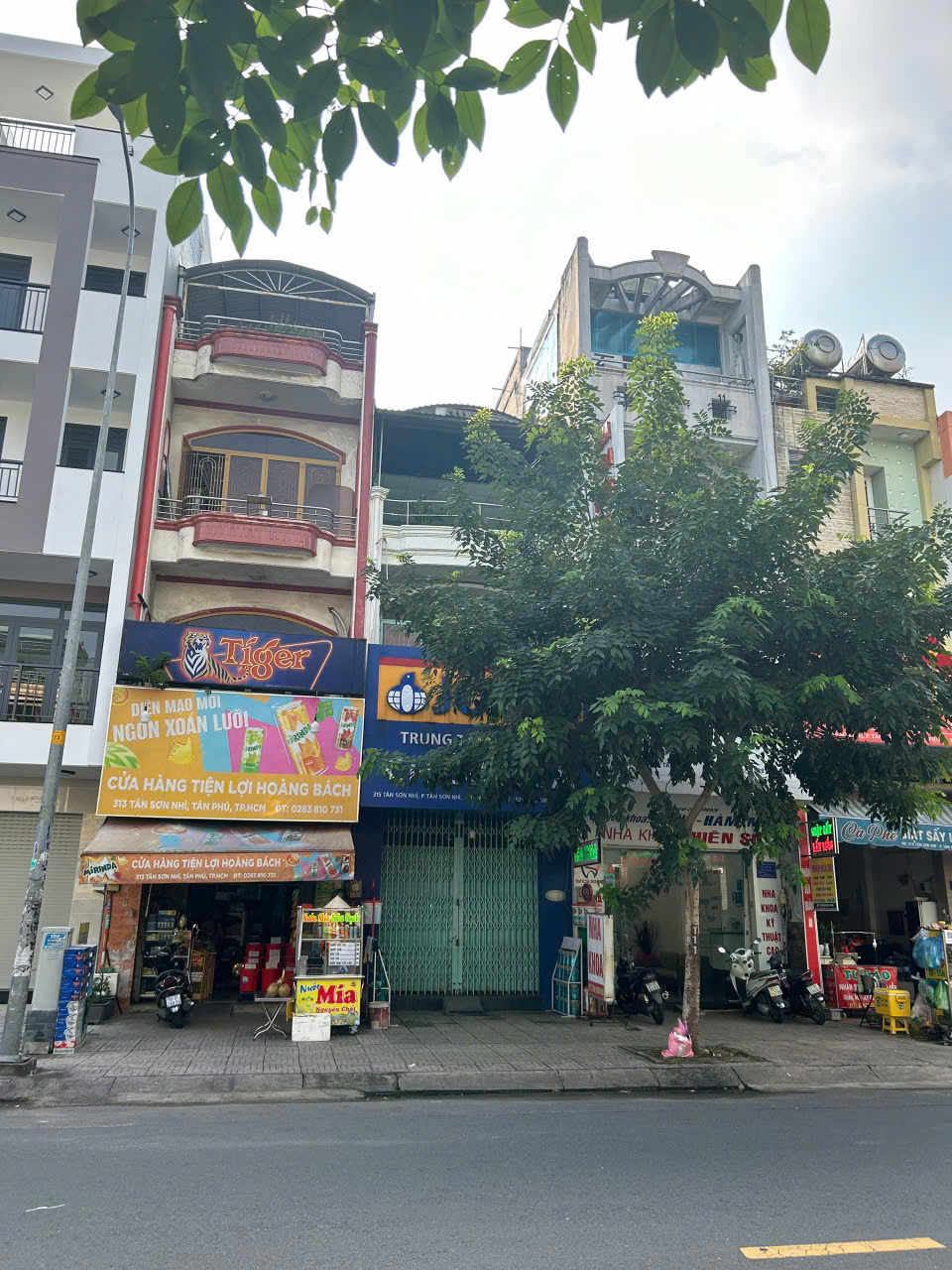 MT Tân Sơn Nhì quận Tân Phú thành phố Hồ Chí Minh