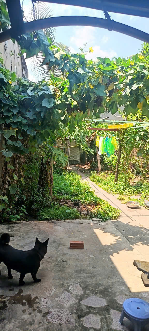 https://batdongsanviet.info.vn/uploads/images/upload/03-08-26/1WUpukh1aNY178MDvVLkMd3HAKE1J8e02YY6FoNIo9dbEC5TOkgR4kwc17Snmzshhie.jpg