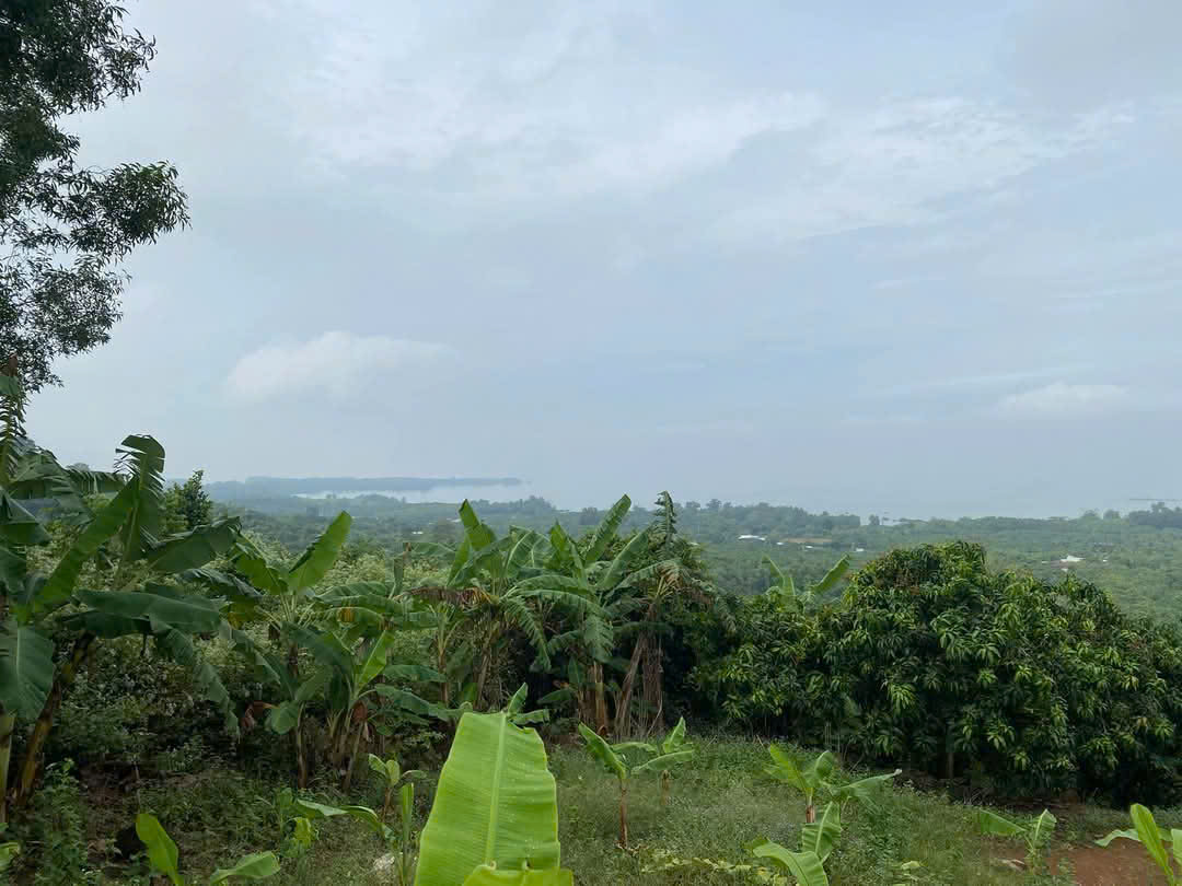 Chính Chủ Cần Bán Đất Nghỉ Dưỡng View Hồ Trị An Cực Đẹp - Thoáng Mát Tại La Ngà – Định Quán – Đồng Nai