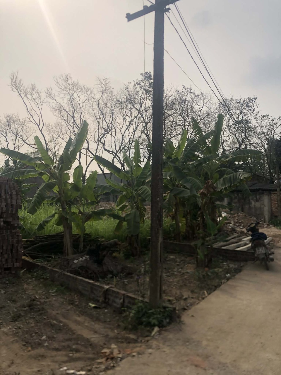 ►  CHÍNH CHỦ BÁN ĐẤT TAM DƯƠNG – VỊ TRÍ ĐẸP – GIÁ CỰC MỀM – CHỐT NHANH TRONG NGÀY