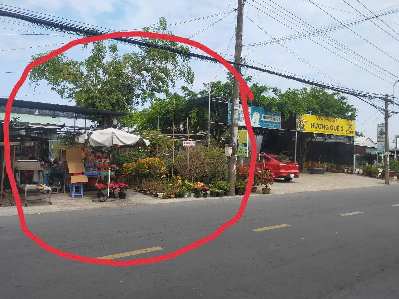 ►  BỎ PHỐ VỀ VƯỜN – NHÀ VƯỜN 2.400m², CẦN THƠ