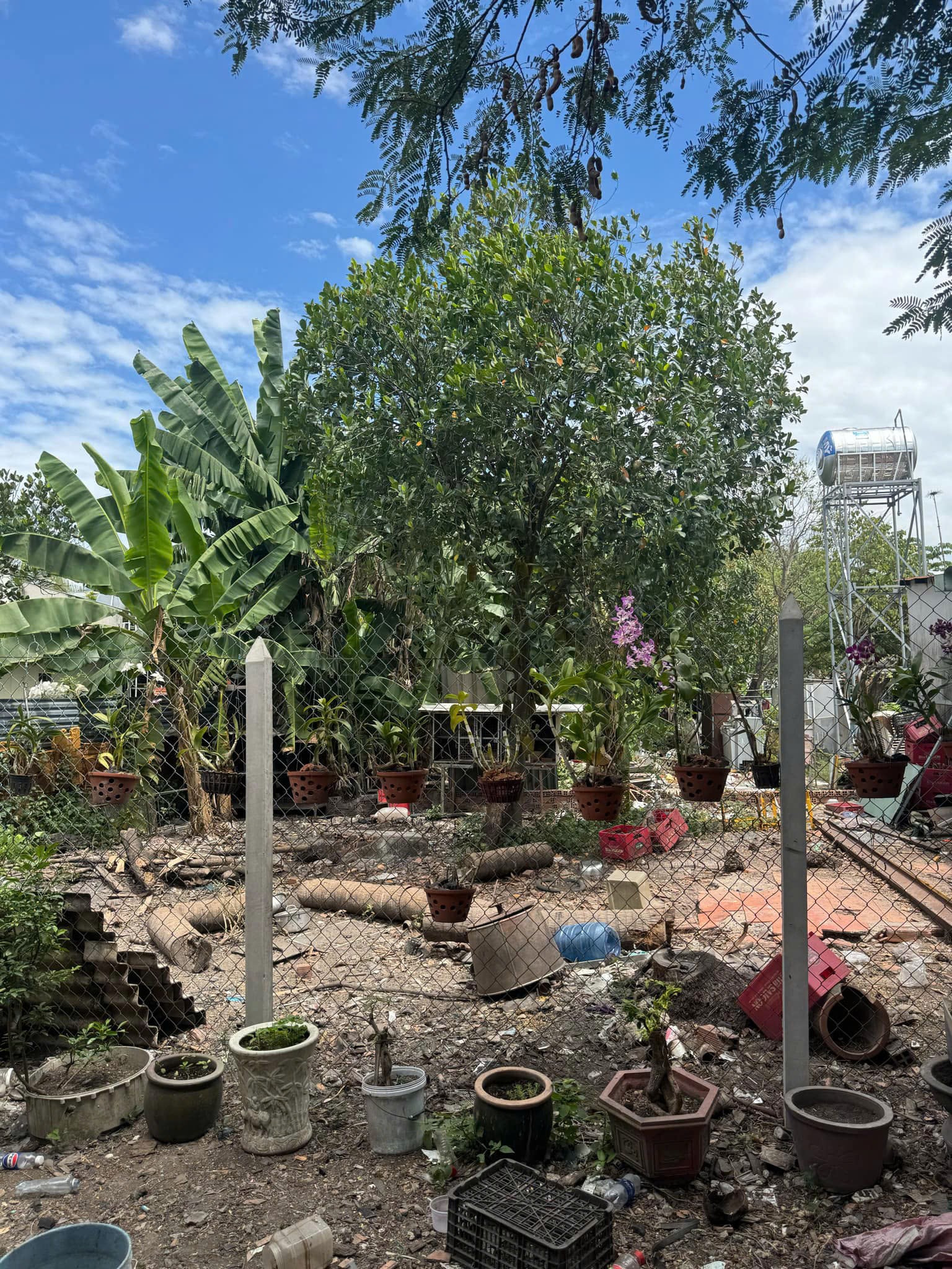 BÁN GẤP – ĐẤT THỔ CƯ 100% CHÍNH CHỦ NGAY TRUNG TÂM THỊ TRẤN CỦ CHI – TP.HCM