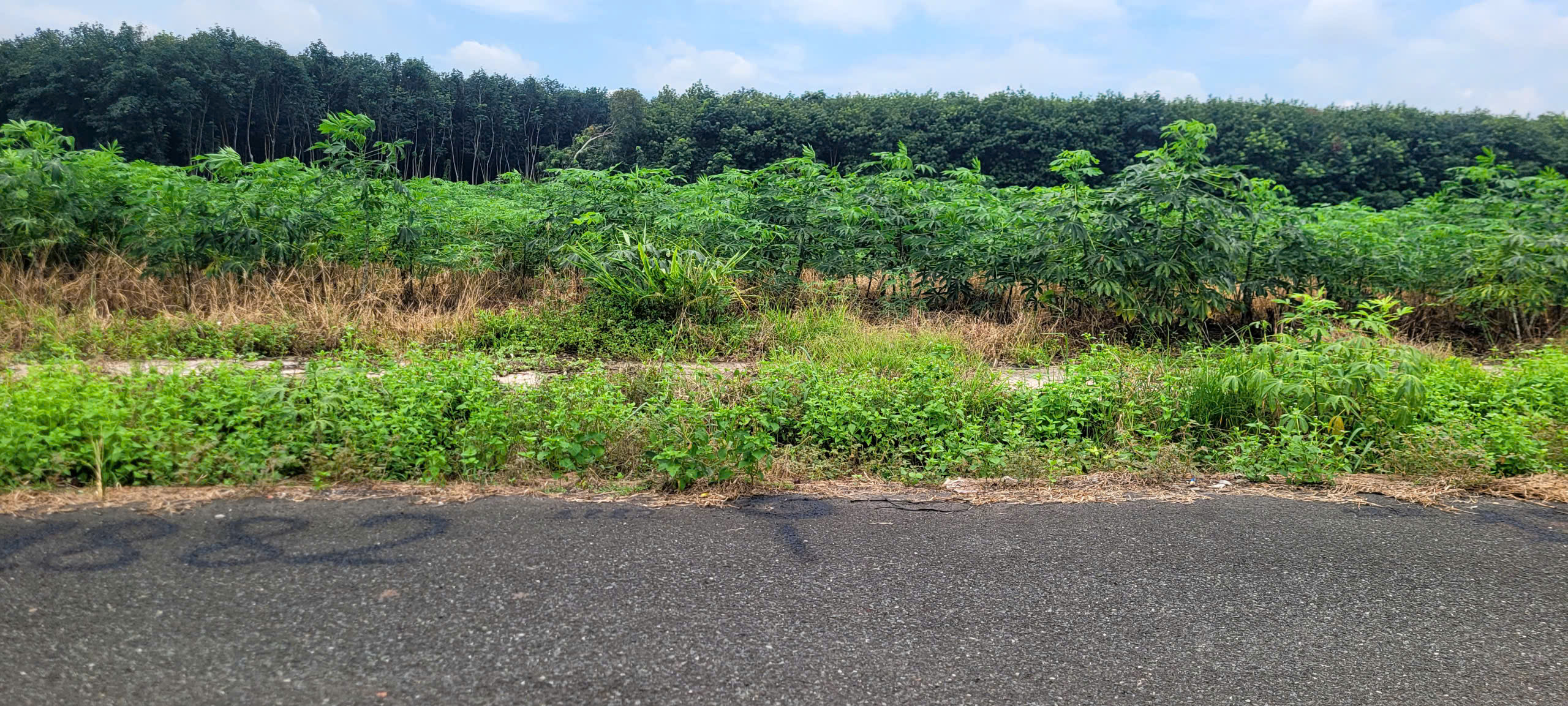 ► Bán đất Xã Nha Bích mới 600tr/nền bao sổ (Có lẻ hoặc cặp liền kề).