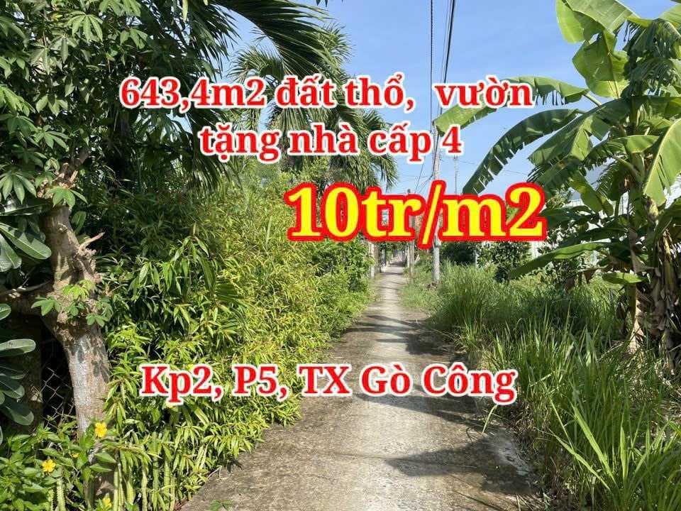 CHÍNH CHỦ BÁN NHÀ ĐẤT PHƯỜNG 5 - THỊ XÃ GÒ CÔNG - TIỀN GIANG