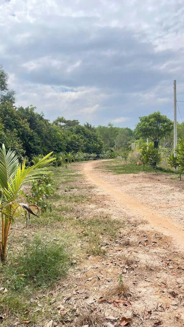 https://batdongsanviet.info.vn/uploads/images/upload/05-10-26/1791192580317_53014076523108775_9081825524660048402_d5de5088625f81ab977307a6ca813fa3.jpg