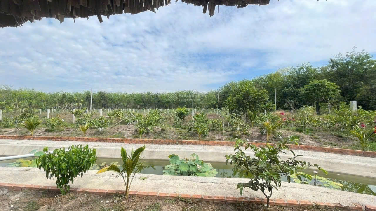 https://batdongsanviet.info.vn/uploads/images/upload/05-10-26/1791192580566_53014076523108775_9081825524660048402_5e30e263f74ddb9b75ddd438babcc713.jpg