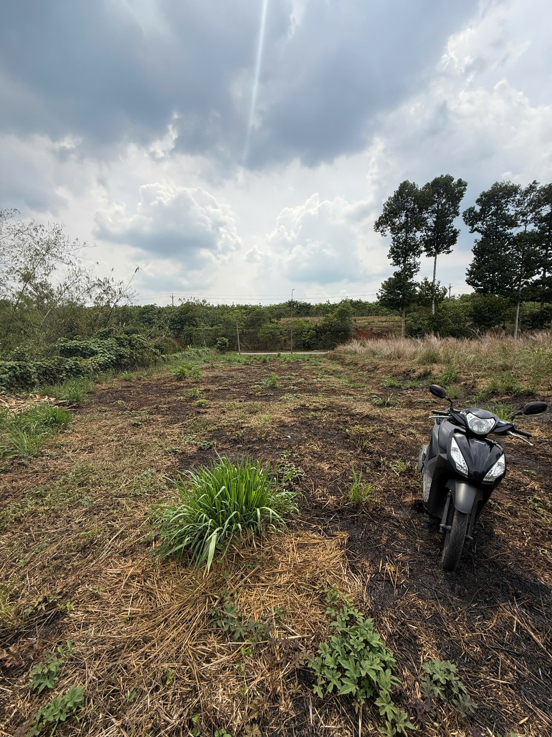 ►  BÁN ĐẤT CẨM MỸ – ĐỒNG NAI | GẦN SÂN BAY LONG THÀNH