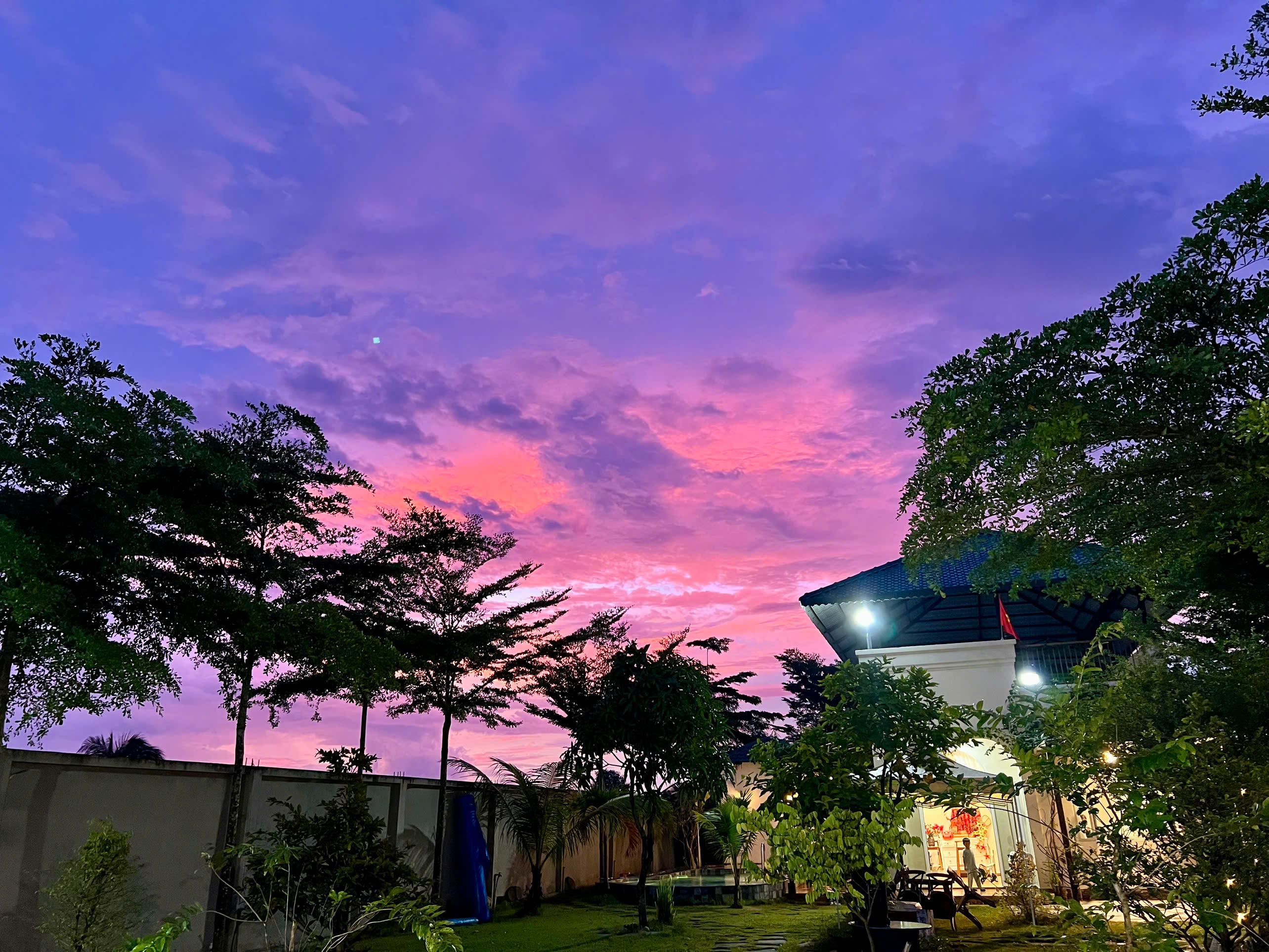 Cho thuê nhà vườn mặt sông 900m² tại Đường Vườn Thơm, huyện Bình Chánh