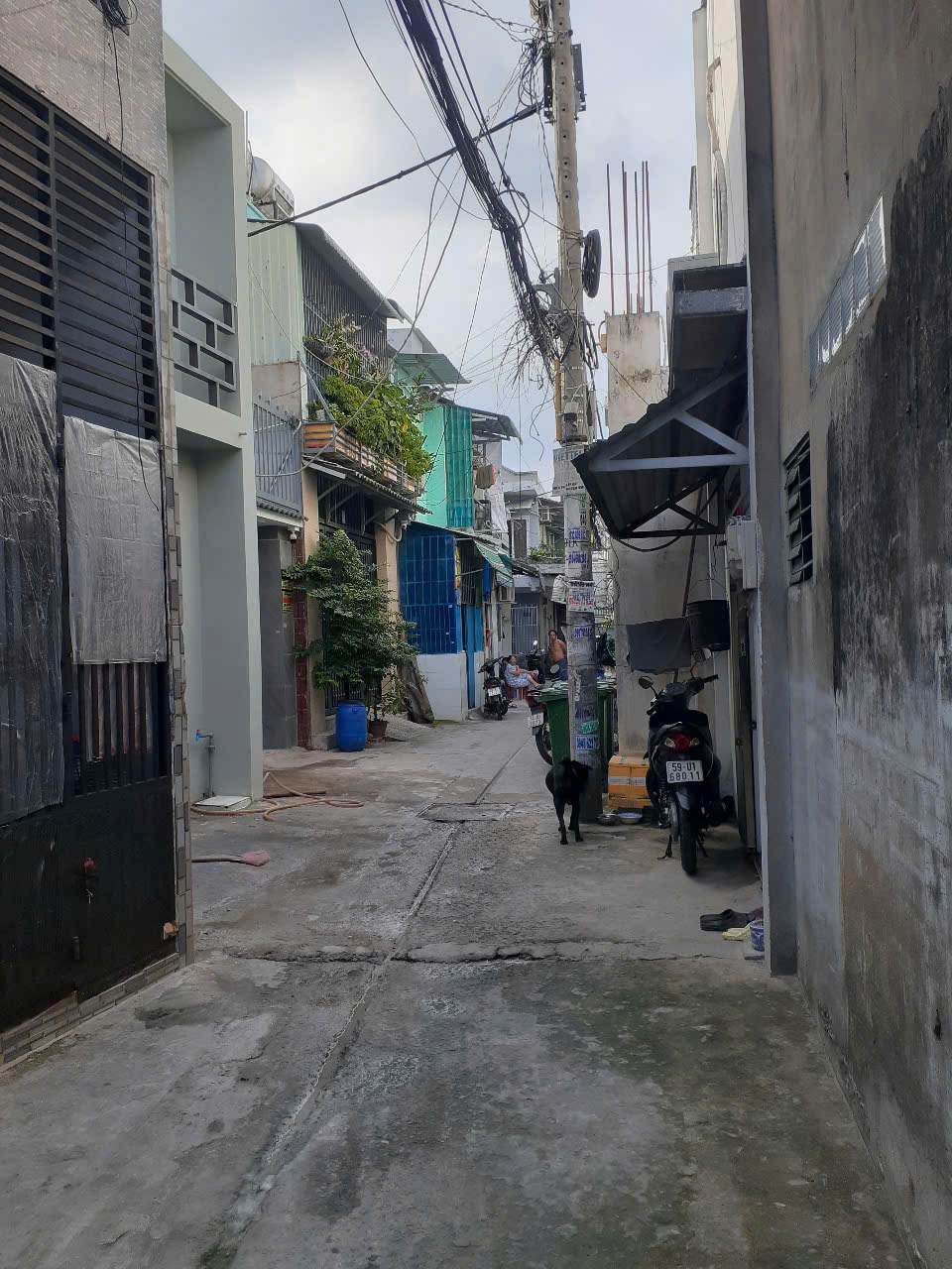 https://batdongsanviet.info.vn/uploads/images/upload/06-07-26/z8012431171391_4fee9ac2d80c27bcd2ca4191f7877dd1.jpg
