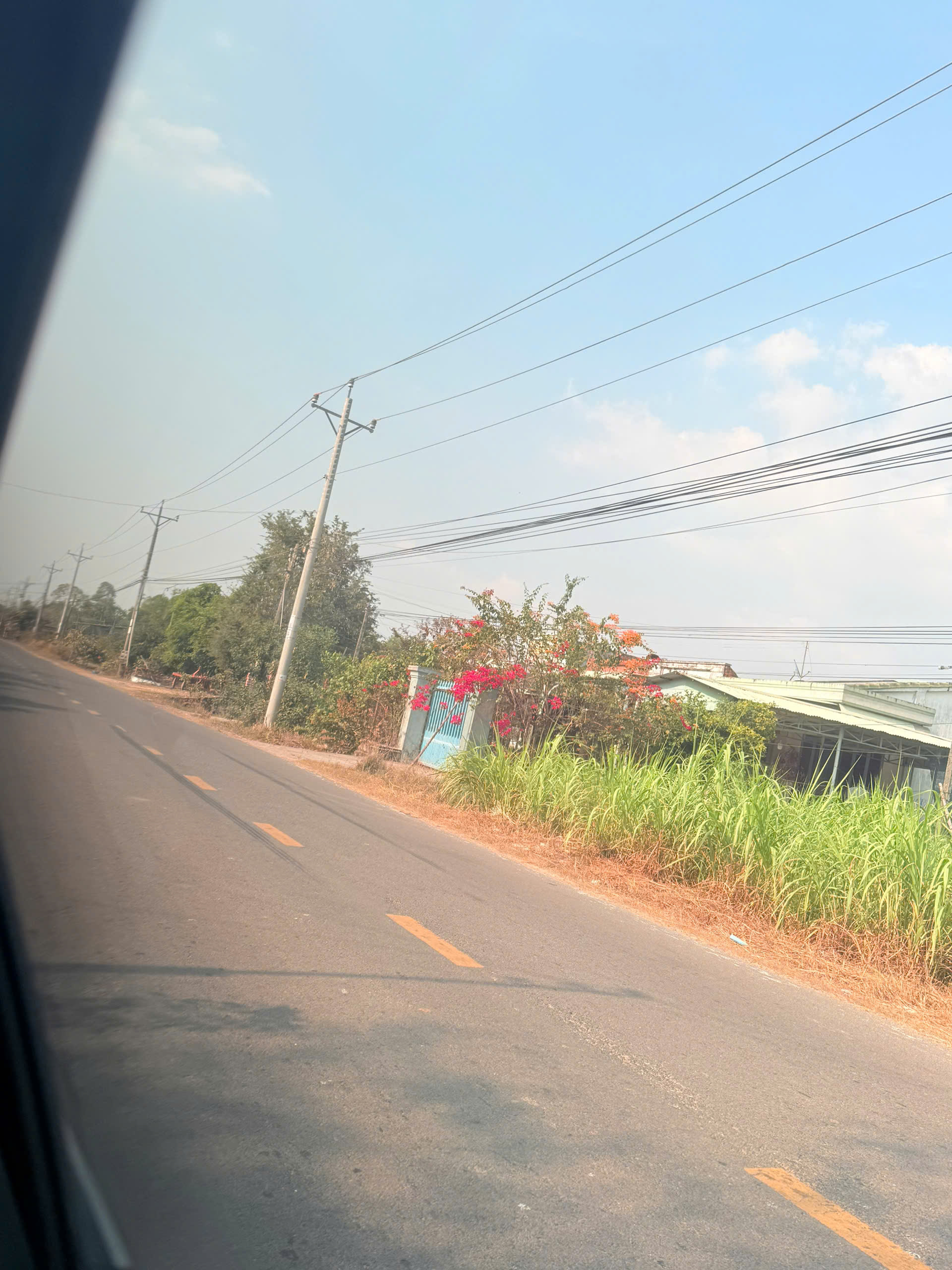 Cần bán đất Tỉnh Lộ 796 Xã Ninh Điền ,huyện Châu Thành ,Tỉnh Tây Ninh.