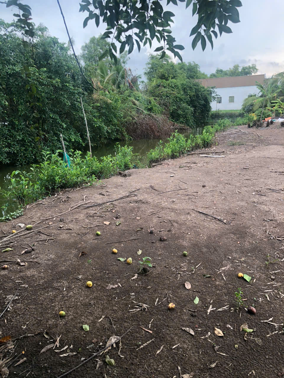CHÍNH CHỦ BÁN ĐẤT VƯỜN – 930M² – TIỀM NĂNG ĐẦU TƯ/LÀM VƯỜN