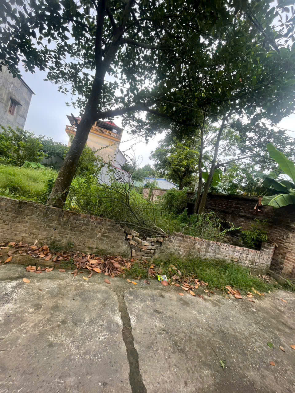 BÁN ĐẤT ĐẸP TẠI KHU TÂN MINH TÂN MINH – SÓC SƠN