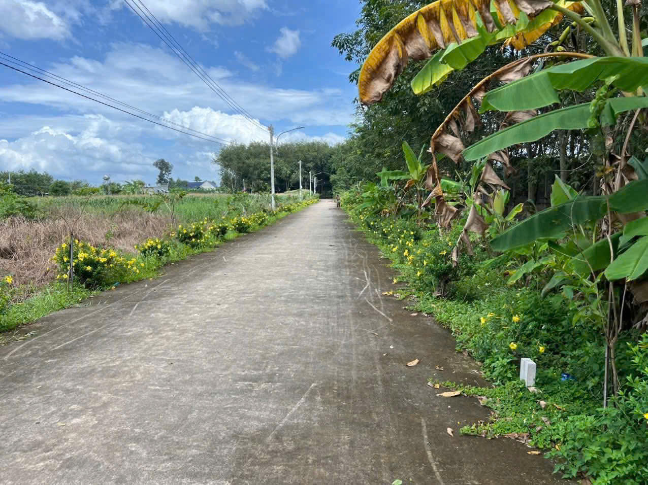 BÁN ĐẤT MẶT TIỀN BÊ TÔNG TAN HIỆP 58 – PHÚ GIÁO