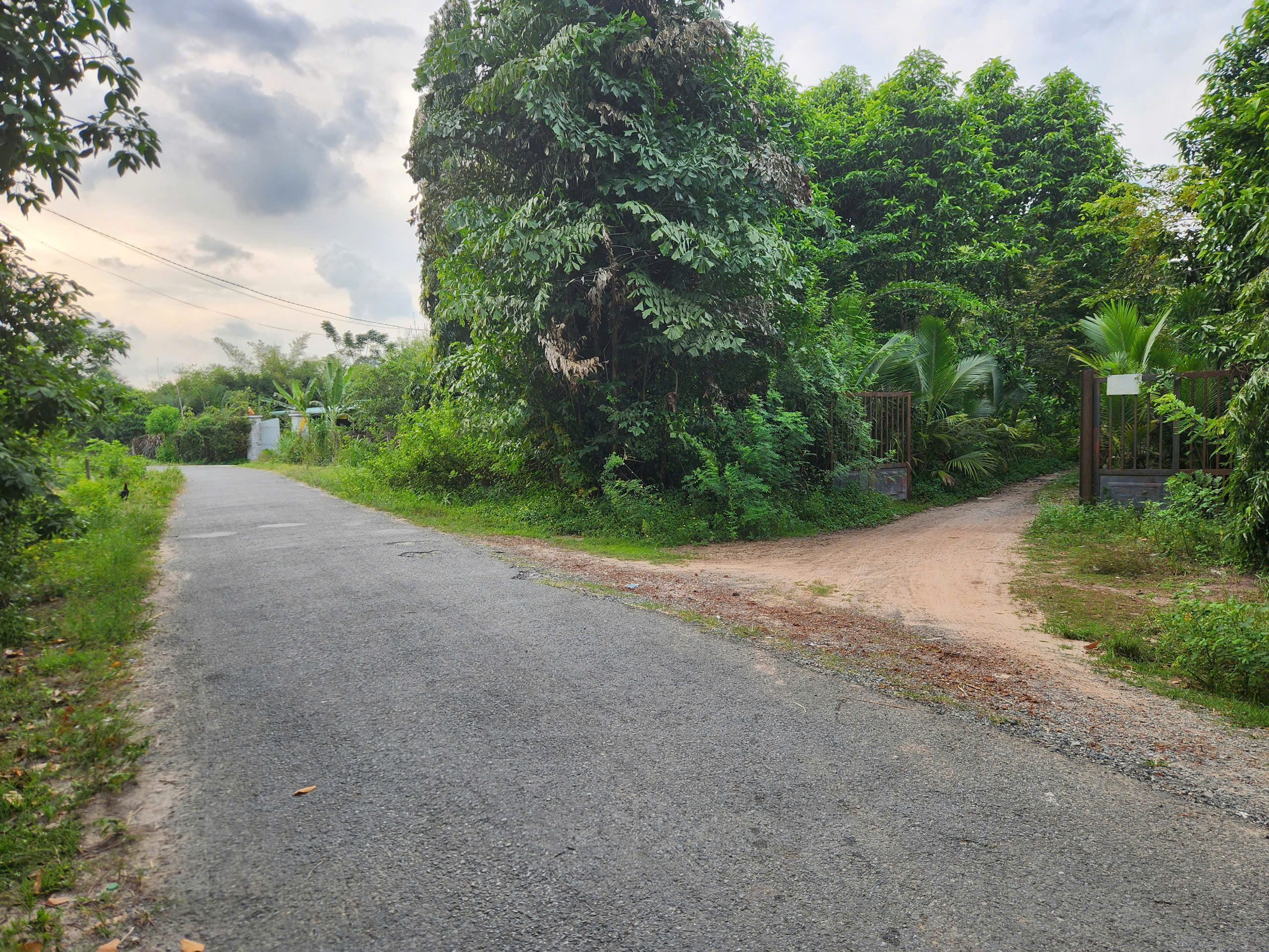 Cho thuê đất rộng 26.000m² tại xã Trung Lập Thượng, huyện Củ Chi