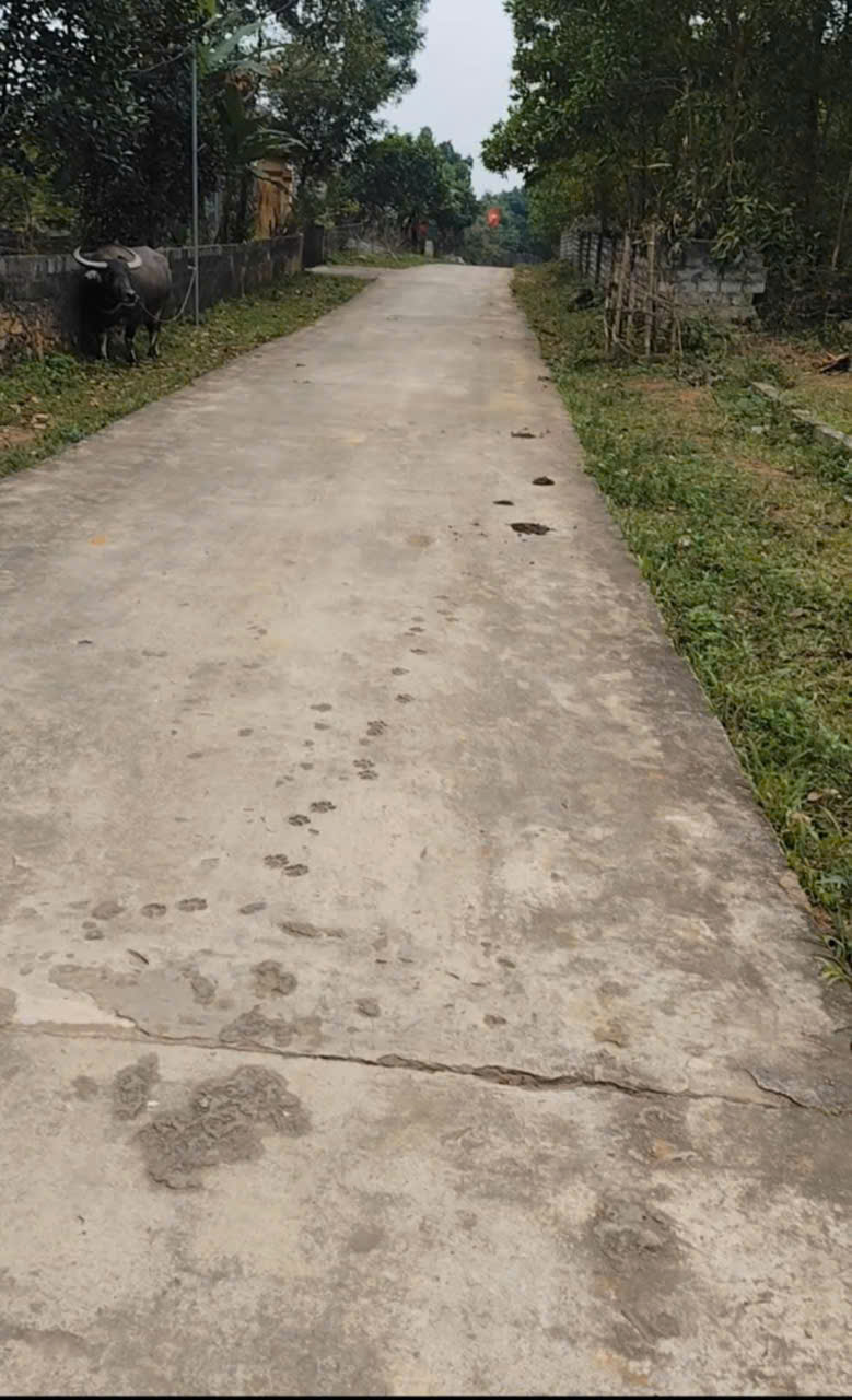 ►  CHÍNH CHỦ BÁN LÔ ĐẤT ĐẸP – XÓM 21, NGHĨA VĂN, NGHI LỘC – NGHỆ AN