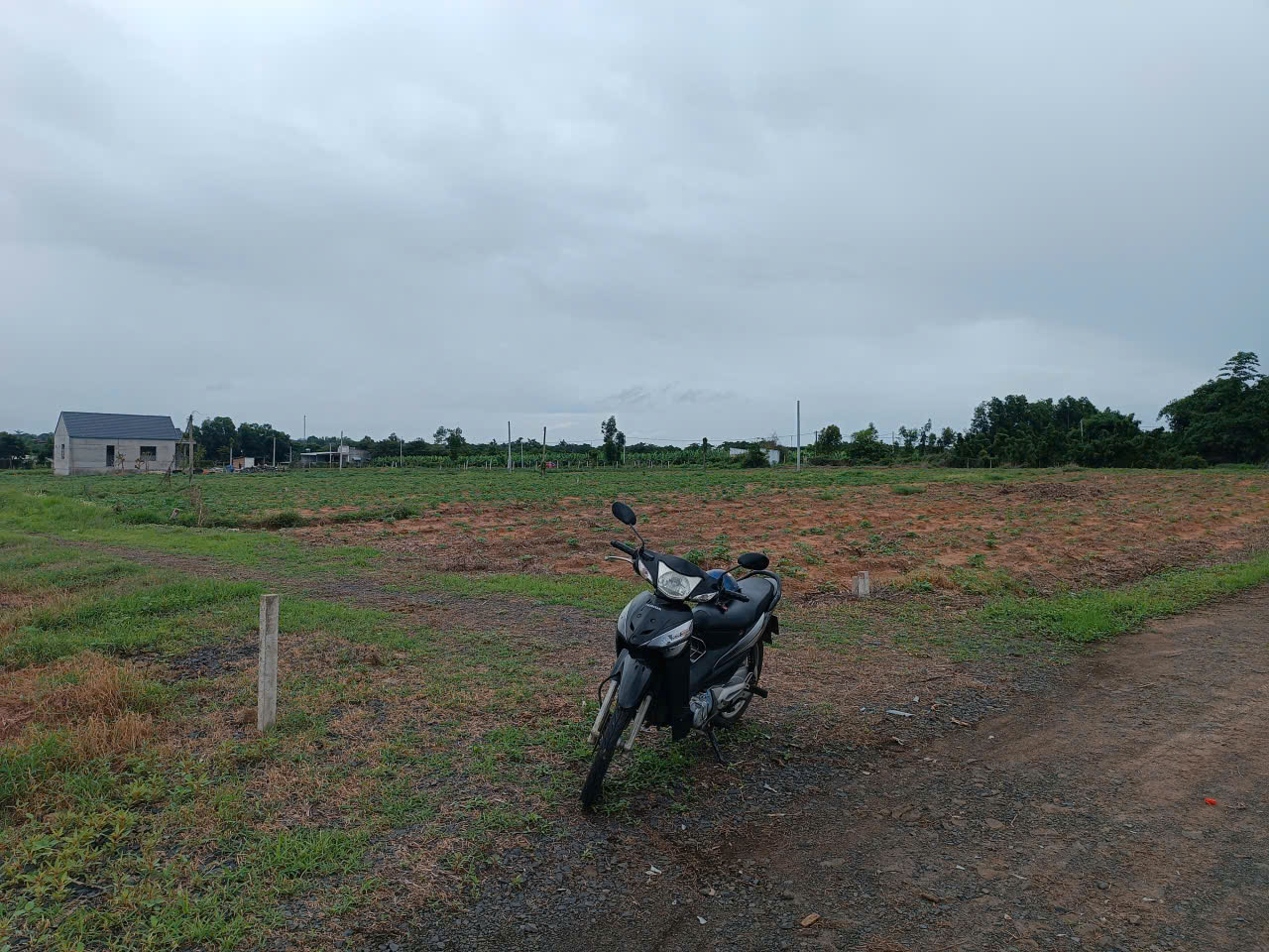 CHÍNH CHỦ CẦN BÁN LÔ ĐẤT RỘNG 3 MẶT TIỀN – GIÁ TỐT TẠI Hồ Tràm