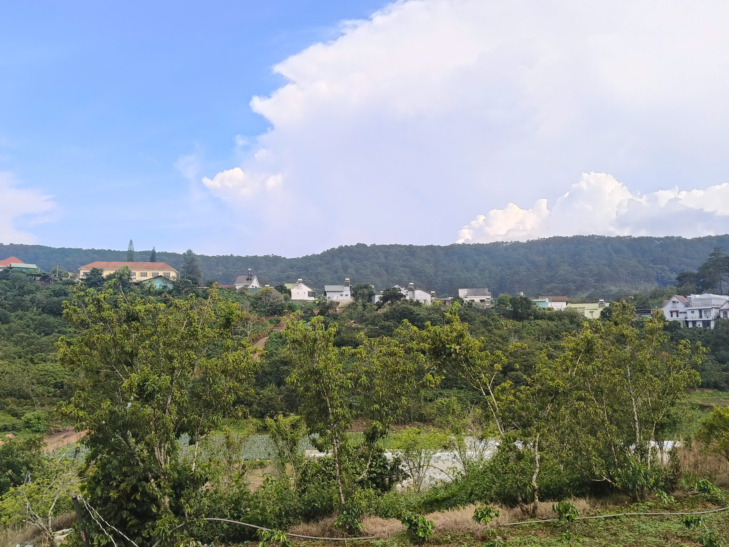 ►  BÁN ĐẤT ĐẸP PHƯỜNG XUÂN TRƯỜNG – ĐÀ LẠT