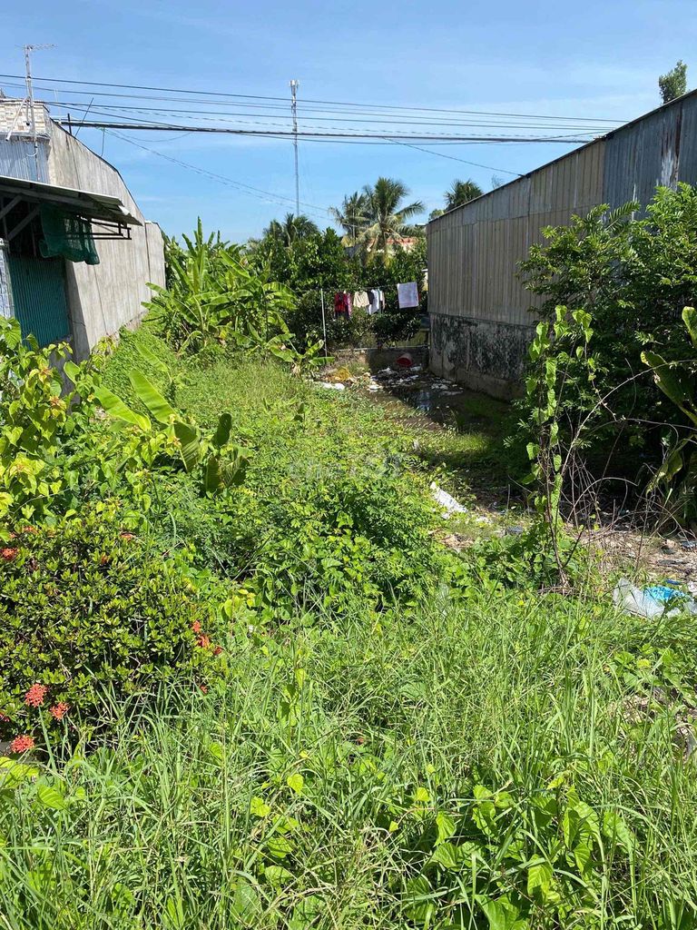 CƠ HỘI ĐẦU TƯ ĐẤT NỀN GIÁ TỐT TẠI THÁP MƯỜI – ĐỒNG THÁP