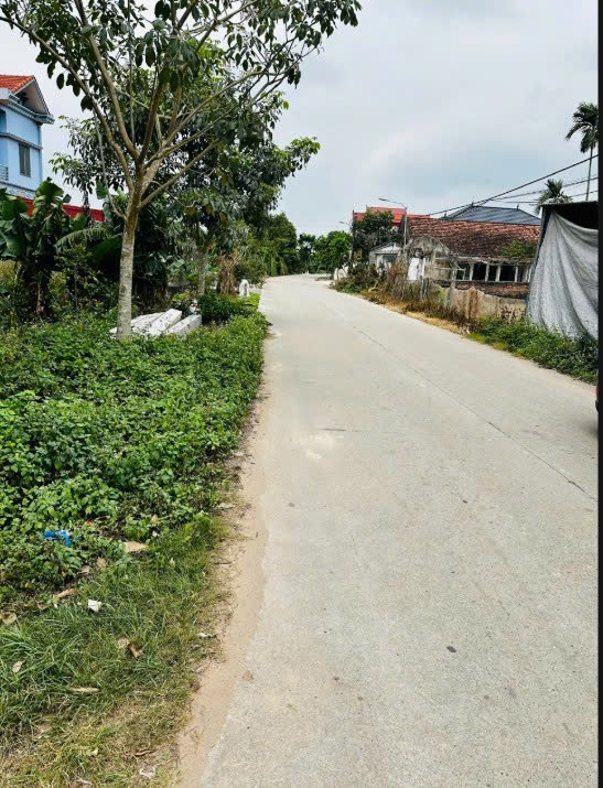 ►  Em có mấy lô đất đẹp tại Nguyên Lý – Lý Nhân – Hà Nam cần bán ạ