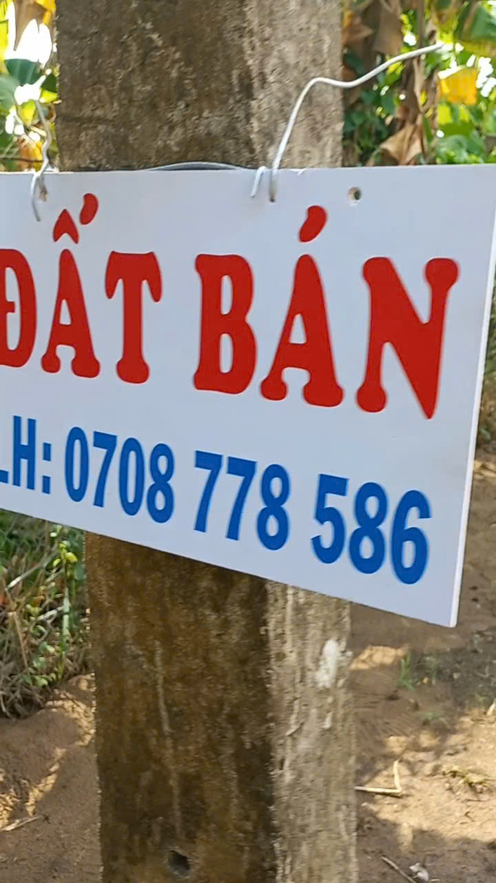 ►  BÁN ĐẤT THỔ CƯ GIÁ TỐT – GẦN QUỐC LỘ 80