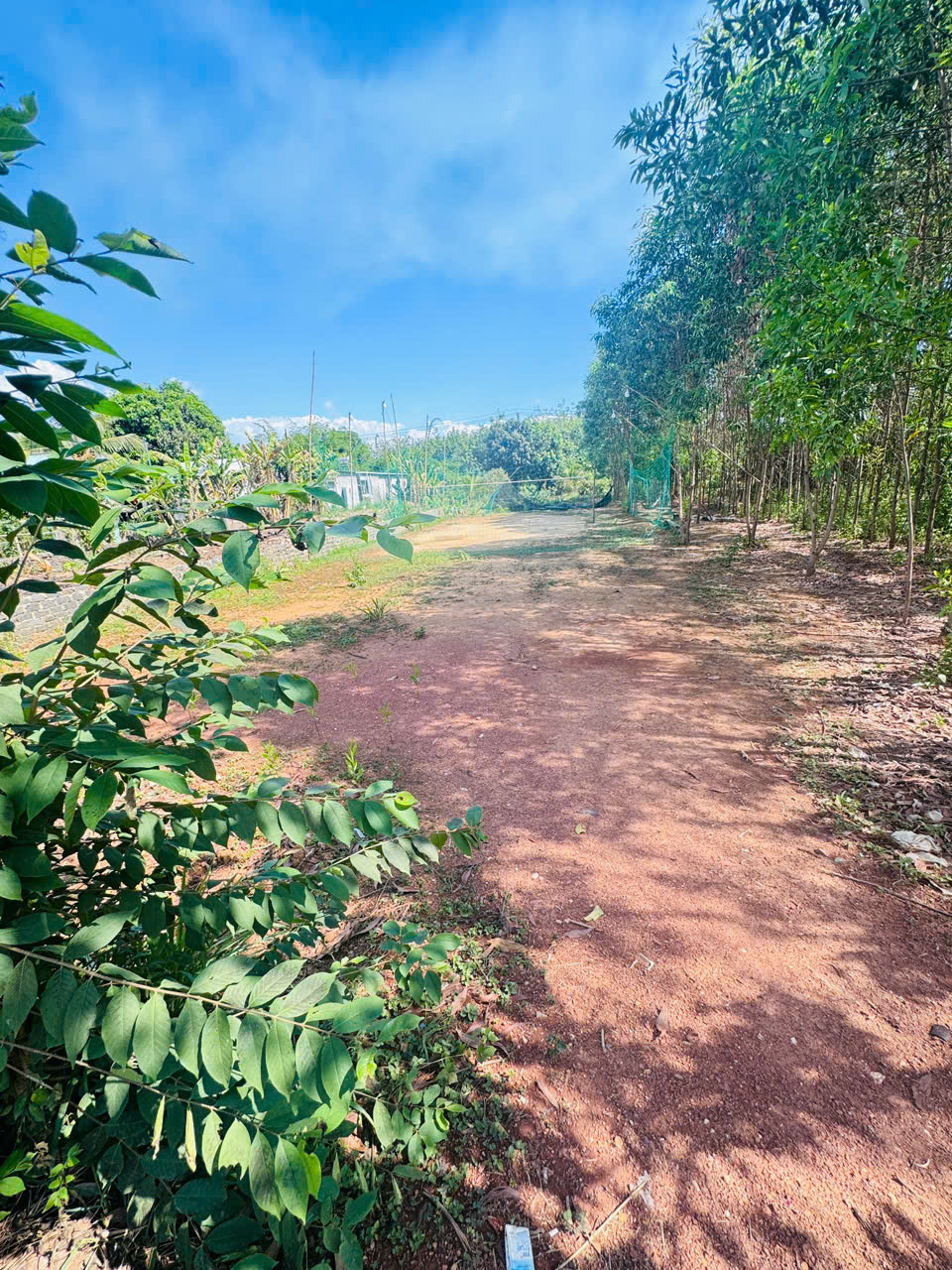 https://batdongsanviet.info.vn/uploads/images/upload/10-08-26/1wupukhyxalsfbhx3beuzhr5pquirre2reeks7h0tpa6ygc3l9xw0liarovpjpvgu9h4.jpg