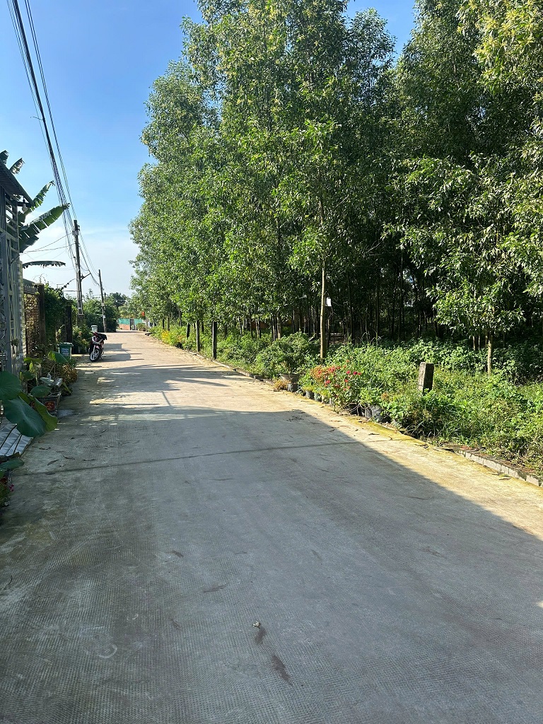 CẦN BÁN ĐẤT NÔNG NGHIỆP CHÍNH CHỦ – GIANG ĐIỀN, TRẢNG BOM, ĐỒNG NAI