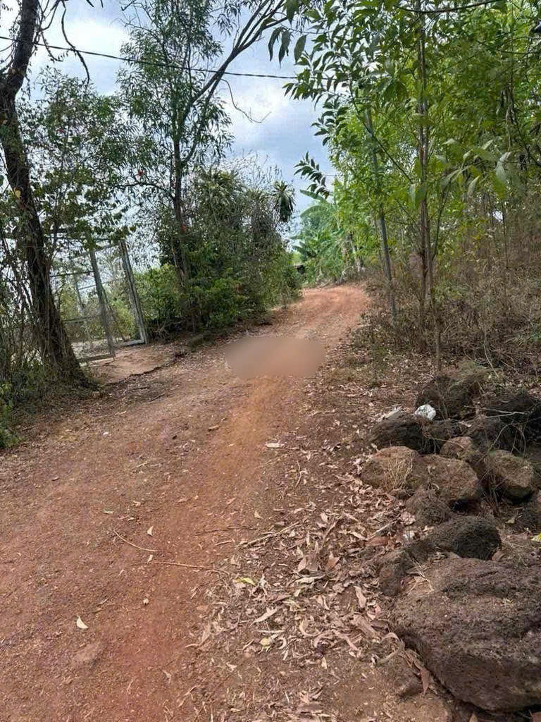 https://batdongsanviet.info.vn/uploads/images/upload/11-08-26/1786410069395_5475495754882358308_5475495754882358308_f378a27c4649b76f9d274cd1a05dbe85.jpg