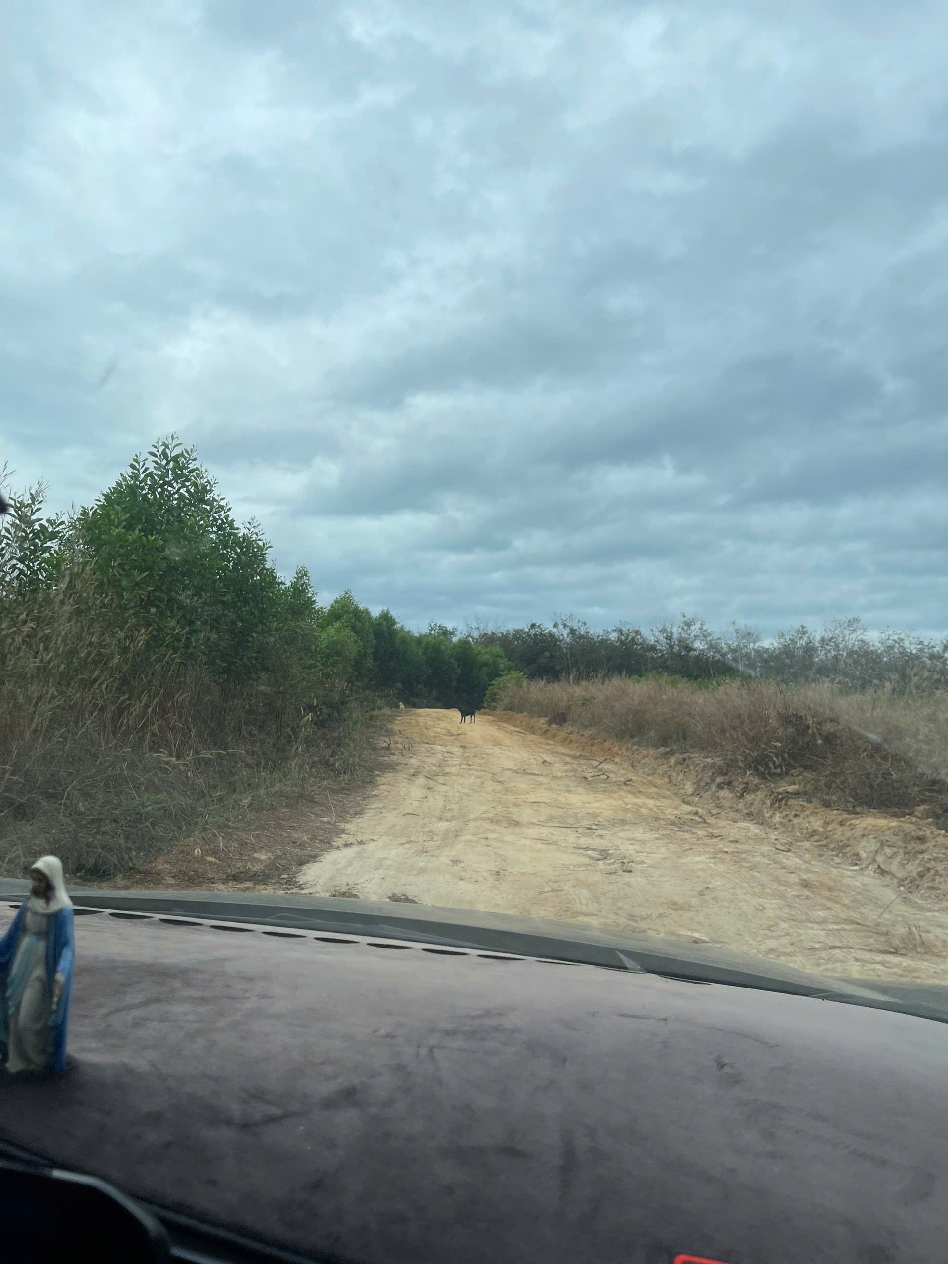 ►  BÁN ĐẤT CHÍNH CHỦ – BẮC TÂN UYÊN, BÌNH DƯƠNG