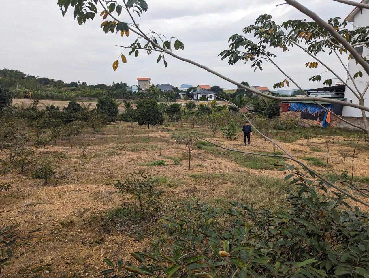 ►  CƠ HỘI SỞ HỮU ĐẤT NGHỈ DƯỠNG VÀNG TẠI CÔN SƠN – KIẾP BẠC