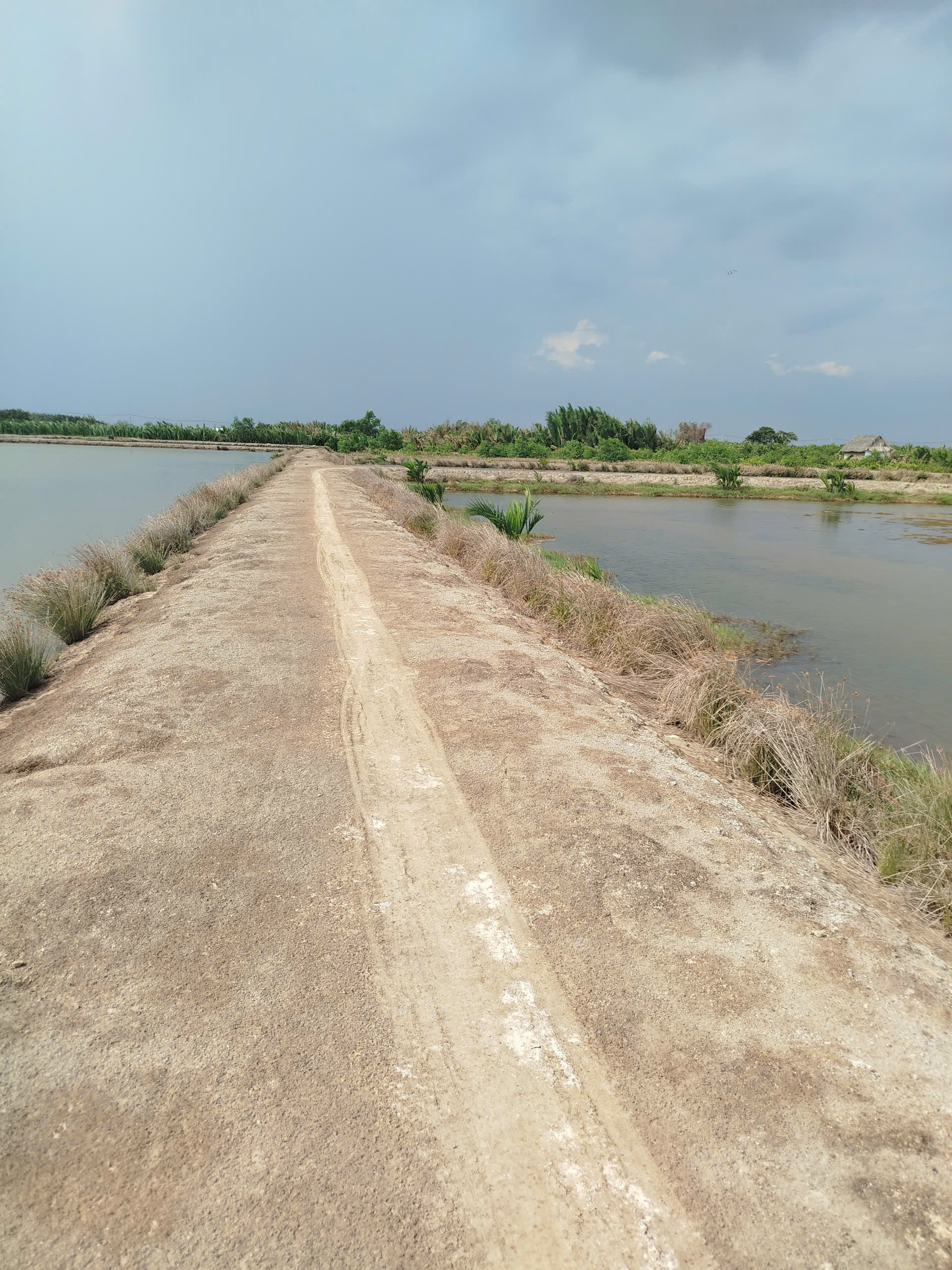 ► BÁN ĐẤT CHÍNH CHỦ – GẦN TRUNG TÂM XÃ AN THỚI ĐÔNG, CẦN GIỜ
