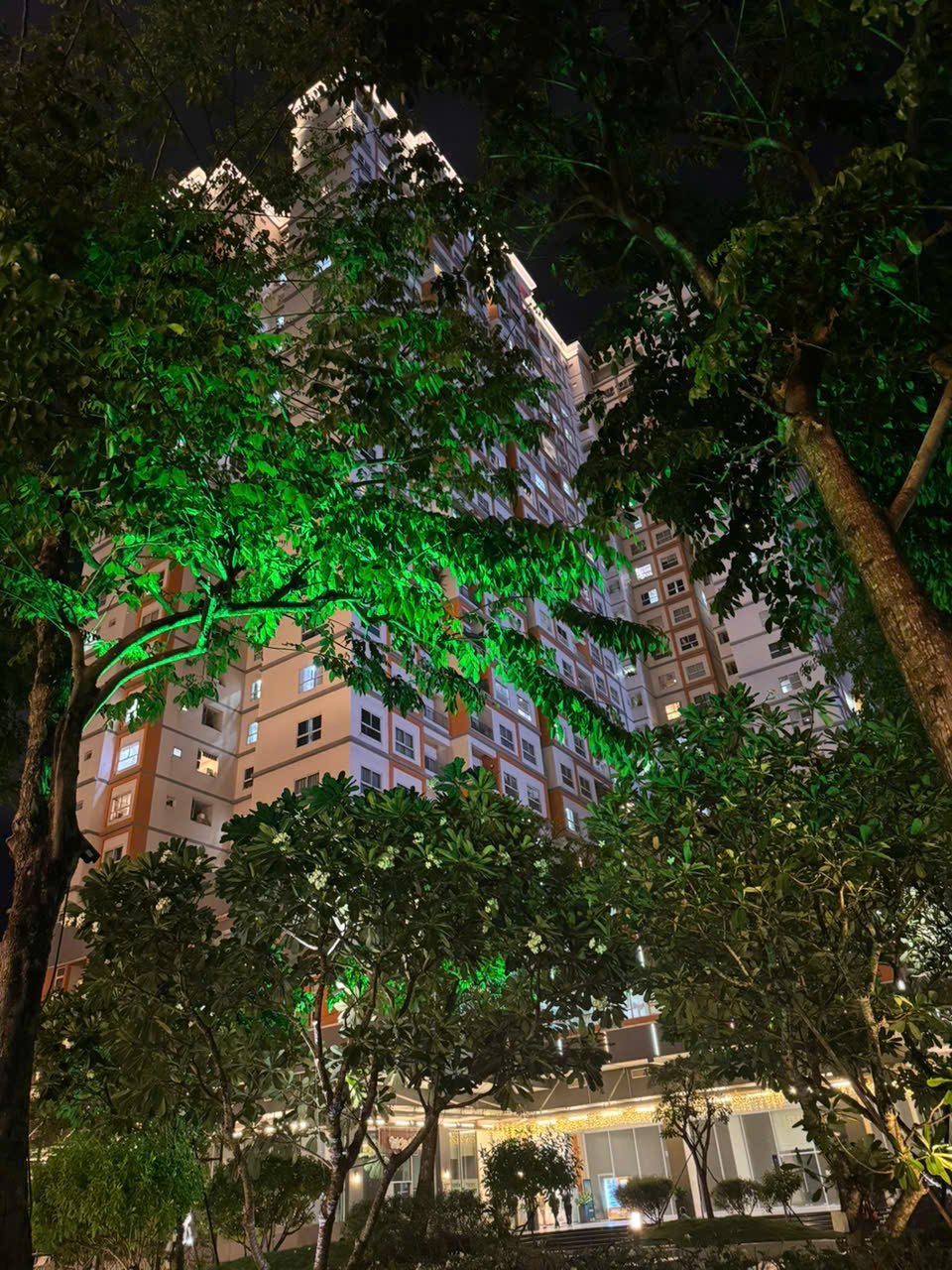 https://batdongsanviet.info.vn/uploads/images/upload/12-08-26/1786515233386_2205802053485537604_2205802053485537604_dfc51848a72bcadc6dc8a268e9c07f3f.jpg