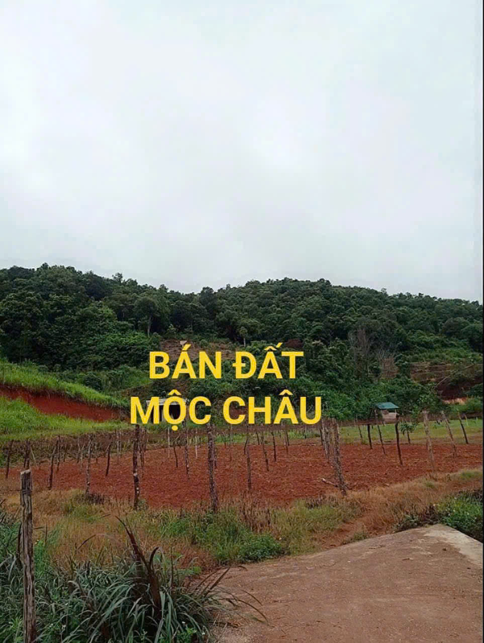 BÁN ĐẤT HOMESTAY, NGHỈ DƯỠNG TẠI  MỘC CHÂU – VỊ TRÍ VÀNG, GIÁ SIÊU TỐT!