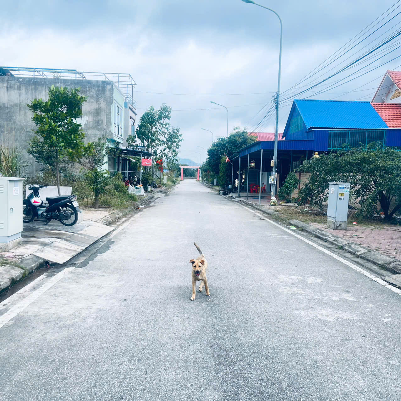 ►  HÀNG HIẾM – CHÍNH CHỦ GỬI BÁN 2 LÔ ĐẤT TÁI ĐỊNH CƯ GIA MINH