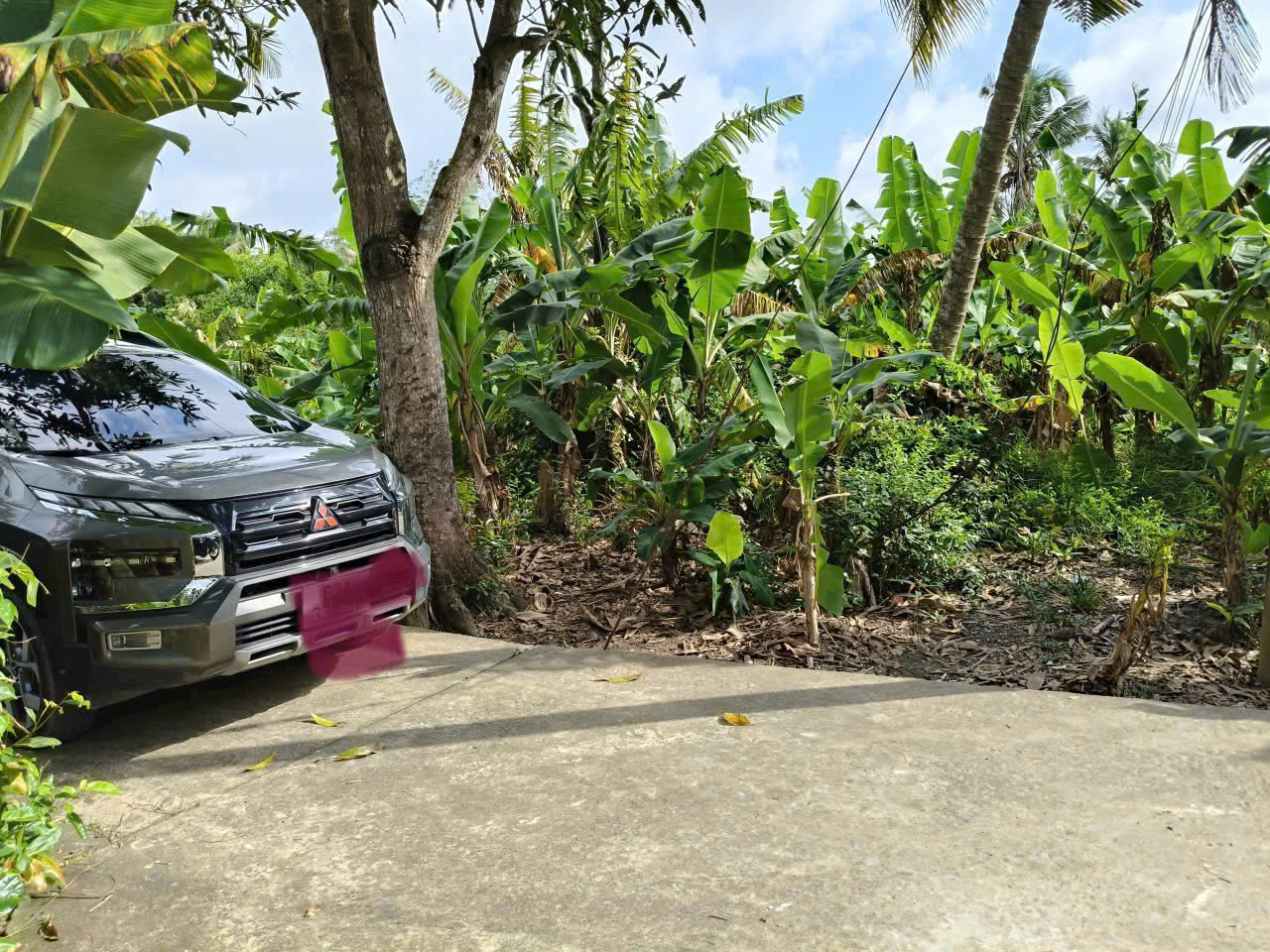 ►  BÁN GẤP LÔ ĐẤT 2.460M² FULL THỔ – ĐƯỜNG Ô TÔ – SỔ RIÊNG – GIÁ CHỈ 3,20 TỶ