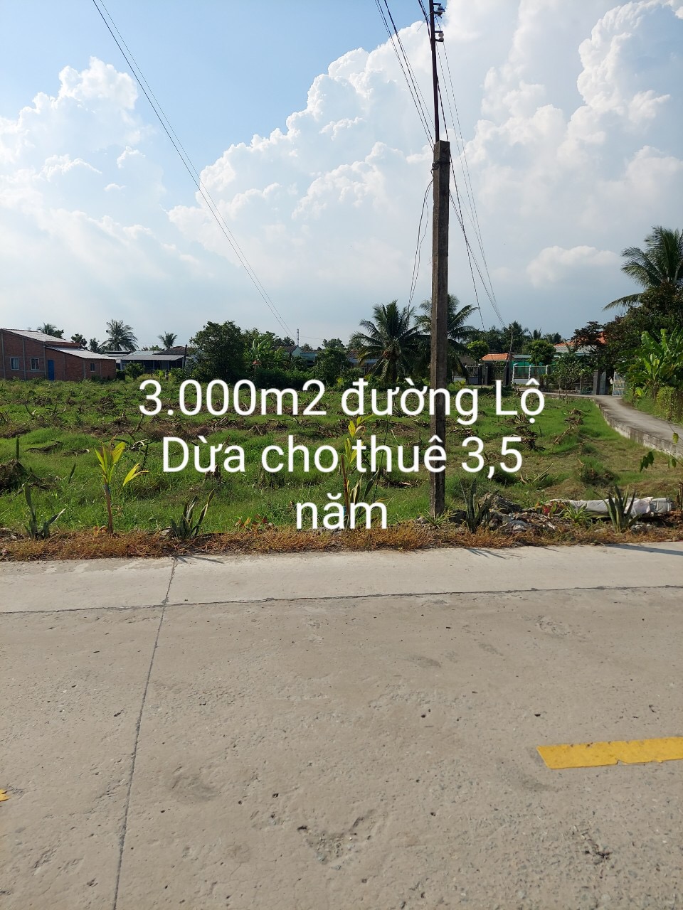 Cho thuê đất vườn Chỉ với 500k/ 1000m2/tháng Đất Mặt tiền đường Lộ Đừa, Vĩnh Công, Châu Thành , Long An