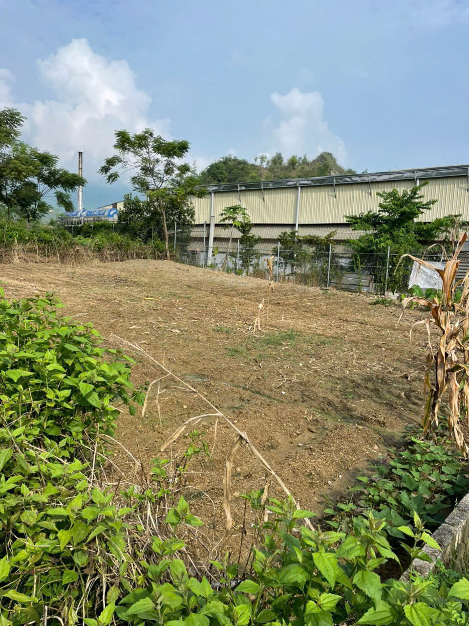 ►  CHÍNH CHỦ BÁN LÔ GÓC 2 MẶT TIỀN SIÊU ĐẸP – CỰ ĐỒNG, THANH SƠN, PHÚ THỌ