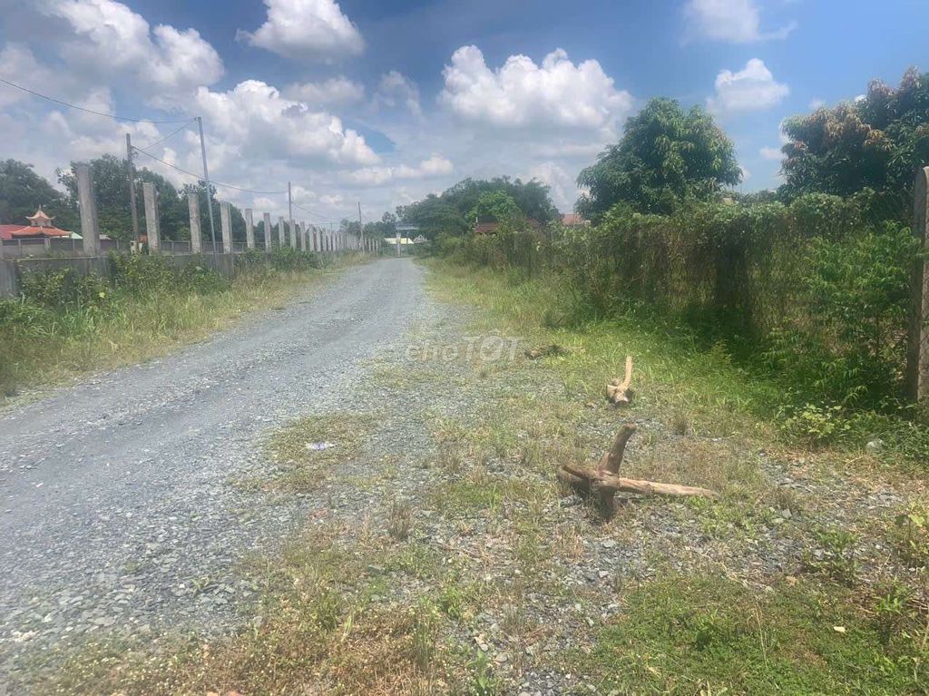 CẦN BÁN ĐẤT TẠI PHƯỚC THẠNH, CỦ CHI – VỊ TRÍ ĐẸP, TIỀM NĂNG CAO