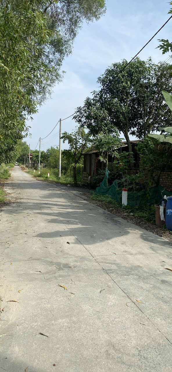 https://batdongsanviet.info.vn/uploads/images/upload/15-09-26/850be155910711594816.jpg