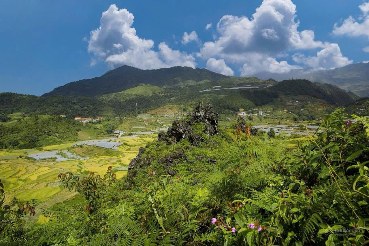 https://batdongsanviet.info.vn/uploads/images/upload/15-10-26/1792025843570_4410256026284878895_4410256026284878895_e84aae0062efa15a6219511ae6d7c802.jpg