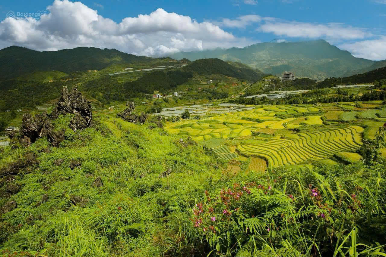 https://batdongsanviet.info.vn/uploads/images/upload/15-10-26/1792025843572_4410256026284878895_4410256026284878895_df65944b54b00f40240c641fa13fdb15.jpg