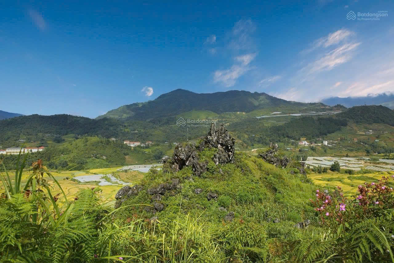 https://batdongsanviet.info.vn/uploads/images/upload/15-10-26/1792025843573_4410256026284878895_4410256026284878895_c47c09af6c7c8f557b5fdf97bdc34d46.jpg