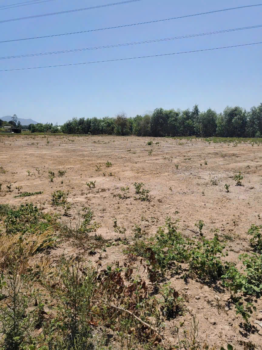 BÁN GẤP ĐẤT PHƯỚC LONG THỌ  – ĐẤT ĐỎ, BRVT